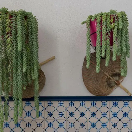 Chez Odete Pensión